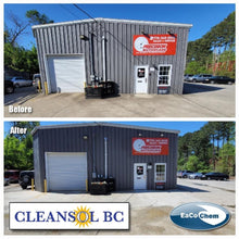 Load image into Gallery viewer, Cleansol BC