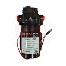 Load image into Gallery viewer, Remco 2.2GPM 100PSI Delivery: Demand Pump