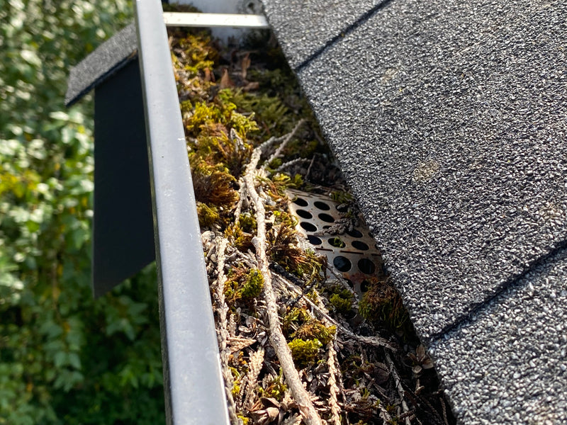 Gutter Cleaning Tips & Tricks