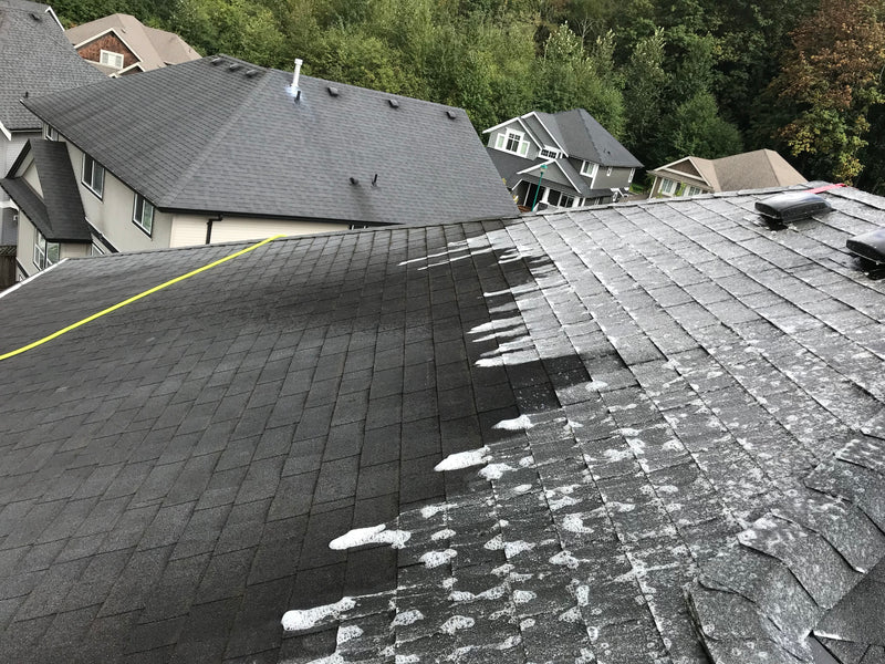 Residential Roof Washing in Canada